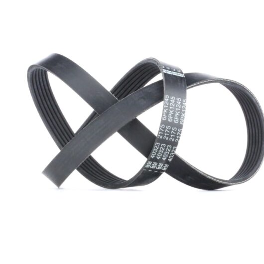 FEBI BILSTEIN V-ribbed belt OPEL,FORD,HYUNDAI 40323 55566905,1612162980,5750YX 1612162980,5750YX,6PK1242,6PK1243,6PK1244,6PK1245,6PK1246,6PK1247