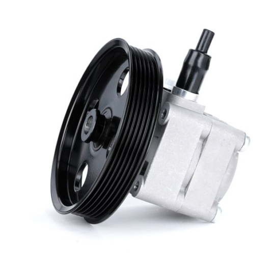NTY Power Steering Pump Electric-hydraulic SPW-RE-018 Steering Pump,EHPS RENAULT,NISSAN,CLIO II (BB0/1/2_, CB0/1/2_),KANGOO (KC0/1_)