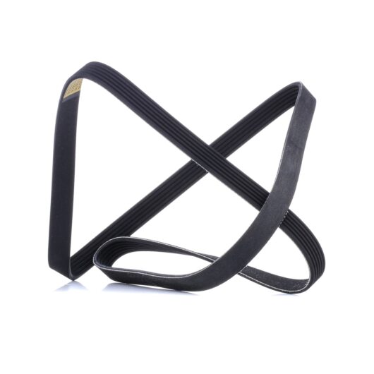 RIDEX V-ribbed belt 305P0508 Serpentine belt,Auxiliary belt BMW,FORD,RENAULT,3 Touring (E91),3 Limousine (E90),3 Coupe (E92),X1 (E84),3 Cabrio (E93)