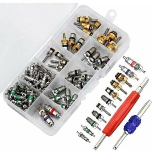 102 Pcs Car Air Conditioning Valve Core, R134A Car Air Conditioning Valve Stem Core with Removal Tool for Car Air Repair