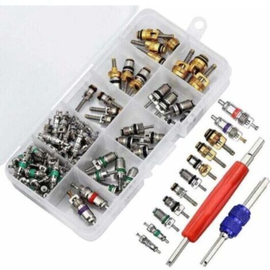 102pcs Air Conditioning Valve Core, R134A Automotive Air Conditioning Valve Stem Cores with Removal Tool for Car Air Repair