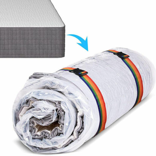 1Sac d'aspirateur Sac sous vide pour matelas avec valve de contrôle des fuites 130210avec 2 sangles noires) + pompe électrique norme européenne
