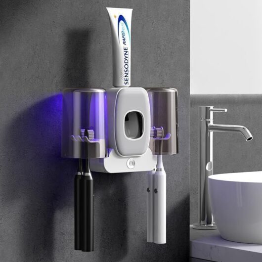 Wall-Mounted UV Toothbrush Holder - Smart Sterilizer with Drying Function, Suitable for Most Homes