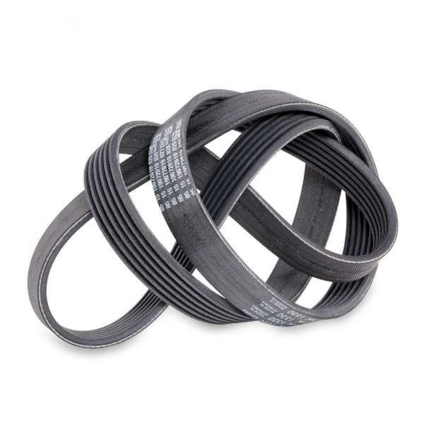 SKF V-ribbed belt VKMV 6PK1199 Serpentine belt,Auxiliary belt VW,FORD,RENAULT,Fox Schrägheck (5Z1, 5Z3, 5Z4),Focus Mk4 Turnier (HP)